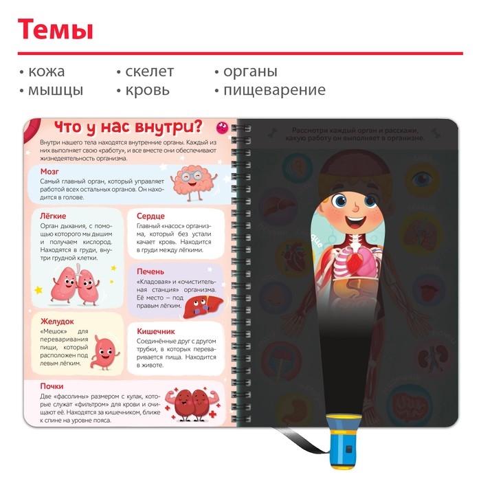 Умная книжка с фонариком &laquo;Моё тело&raquo;. Свети и изучай, 30 стр.