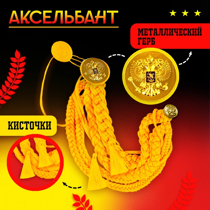 Карнавальный набор «На парад победы»: аксельбант, значок, цвет золотой Карнавальный набор «На парад победы»: аксельбант, значок, цвет золотой