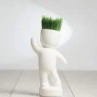 Набор для выращивания Funky Buddy