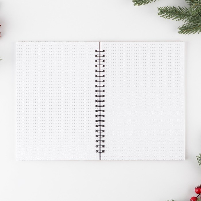 Новый год. Ежедневник в подарочной коробке &laquo;Хозяину жизни&raquo;, А5, 60 листов, на гребне