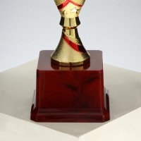 Кубок 183B, наградная фигура, золото, подставка пластик, 20,5 &times; 9,5 &times; 7,5 см.