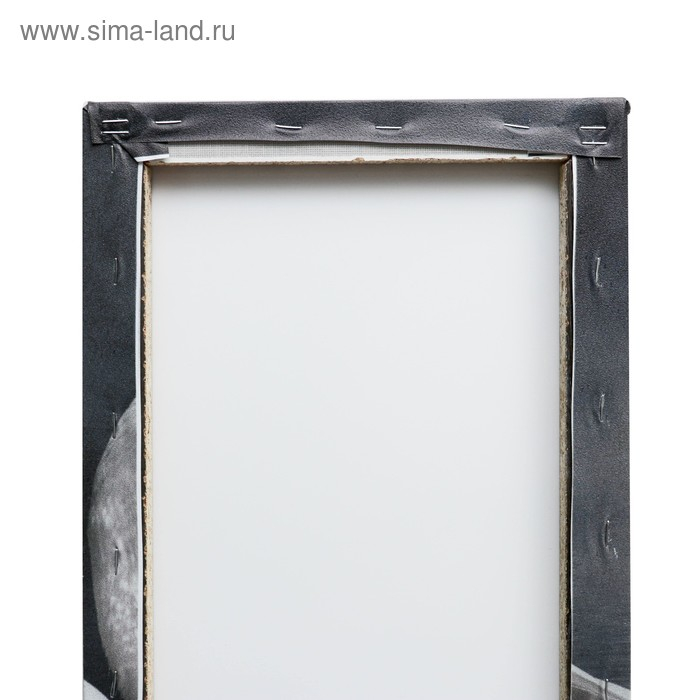 Картина модульная на подрамнике "Лебеди в ночи" 2шт-25х50, 1шт-30х60 ;60*80 см