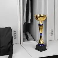 Кубок Awardee, большой, синий