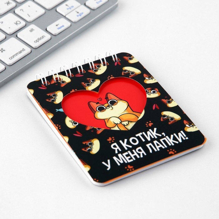 Подарочный набор &laquo;Котик&raquo;, карандаши 2 шт, ластики 2 шт, блокнот