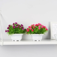 Бонсай в горшке "Портулак кустовой" 11х14 см, микс Бонсай в горшке "Портулак кустовой" 11х14 см, микс