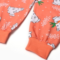 Пижама для девочек, цвет коралловый, рост 104 Пижама для девочек, цвет коралловый, рост 104