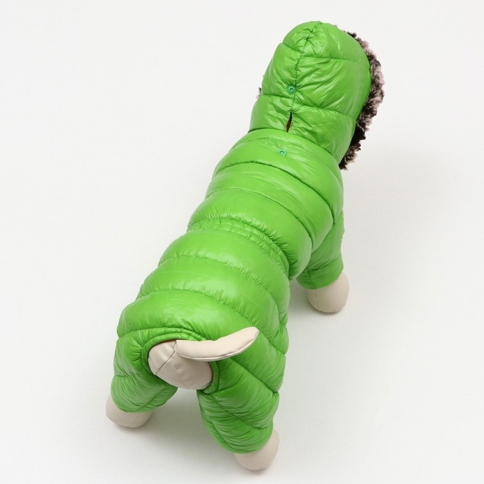 Комбинезон Комбинезон "Лайв" с утяжкой, размер 12 (ДС 28 см, ОГ 38 см, ОШ 27 см), салатовый