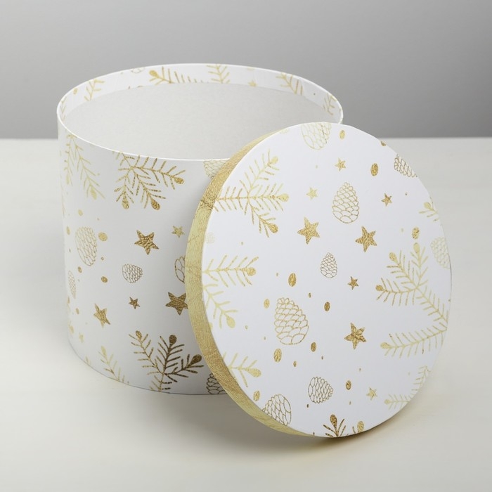 Набор подарочных коробок 5 в 1 &laquo;Изморозь&raquo;, 13 х 14‒19.5 х 22 см 3580137, Новый год