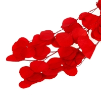 Сухоцвет персикого дерева, 50 г, длина &mdash; 70 см, цвет красный