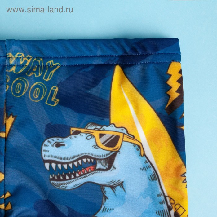 Плавки купальные для мальчика KAFTAN &laquo;Дино&raquo;, рост 110-116 (32), цвет синий