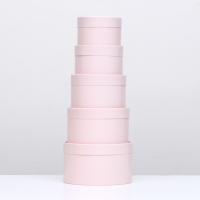 Набор шляпных коробок 5 в 1,"Пастельный" 20 х 12,18 х 11,16 х 10,14 х 9,13 х 8,5 см