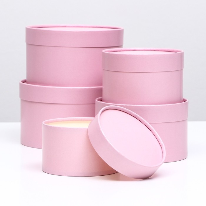 Набор шляпных коробок 5 в 1,"Пыльная роза", 20 х 12,18 х 11,16 х 10,14 х 9,13 х 8,5 см