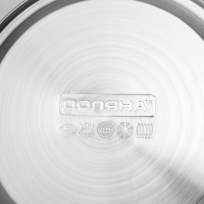 Чайник со свистком из нержавеющей стали Доляна &laquo;Горошек&raquo;, 2,8 л, цвет хромированный