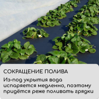 Материал мульчирующий, 10 × 3,2 м, плотность 80 г/м², спанбонд с УФ-стабилизатором, чёрный, Greengo, Эконом 30% Материал мульчирующий, 10 × 3,2 м, плотность 80 г/м², спанбонд с УФ-стабилизатором, чёрный, Greengo, Эконом 30%