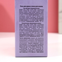 Подарочный набор косметики &laquo;Пусть сбываются мечты!&raquo;, гель для душа 100 мл и пена для ванны 100 мл, ЧИСТОЕ СЧАСТЬЕ