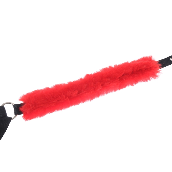 Недоуздок из нейлона с флисовым подкладом, регулируемый размер, черный Недоуздок из нейлона с флисовым подкладом, регулируемый размер, черный