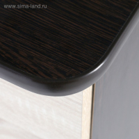 Комод 460, 460х450х867, Венге/Дуб сонома светлый