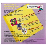 Развивающая игра «Квадрат Воскобовича», 4 цвета Развивающая игра «Квадрат Воскобовича», 4 цвета