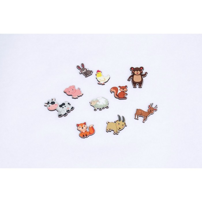 Сортер &laquo;Какая разница? Домашние и дикие животные&raquo;, на липучках, детали: 4 см