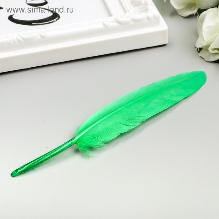 Перья декоративные прямые, 10-15 см (набор 24 шт) 6 цветов, яркие, ассорти