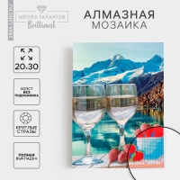 Алмазная мозаика с полным заполнением на холсте &laquo;Вино&raquo;, 20 х 30 см