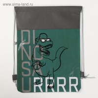 Мешок для обуви &laquo;Динозавр&raquo; 30 х 40 см