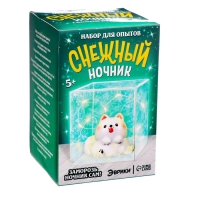 Набор для опытов &laquo;Снежный ночник: Пёсик&raquo;, своими руками