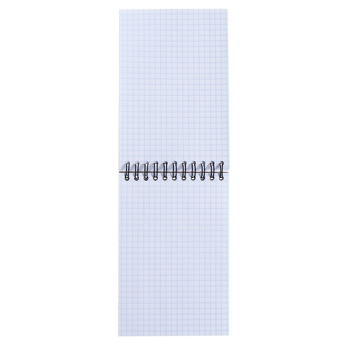 Блокнот на спирали А6, 80 листов, клетка, ErichKruase "Котики", картонная обложка, блок офсет, белизна 100%, МИКС