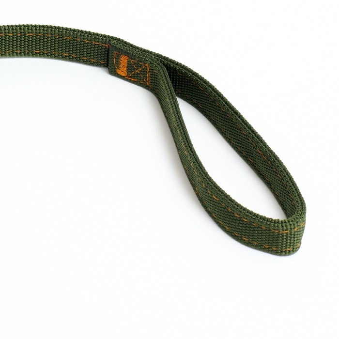 Поводок двухслойный с усиленным карабином, 2 м х 2 см, зелёный Поводок двухслойный с усиленным карабином, 2 м х 2 см, зелёный