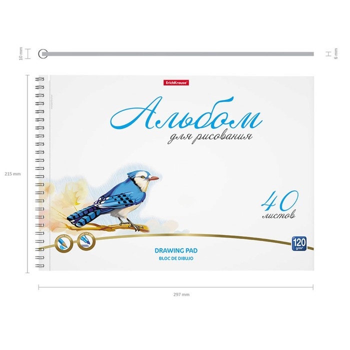 Альбом для рисования А4, 40 листов на спирали, Erich Krause Birds, блок 120 г/м&sup2;, 100% белизна, перфорация для отрыва, твёрдая подложка