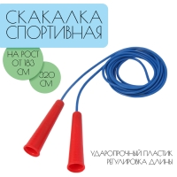 Скакалка 3.2 м, на рост от 183 см, цветная Скакалка 3.2 м, на рост от 183 см, цветная