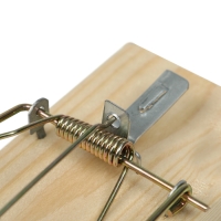 Крысоловка, 6 × 12 см, деревянная, Greengo Крысоловка, 6 × 12 см, деревянная, Greengo