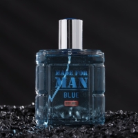 Туалетная вода мужская Made For Man Blue, 100 мл (по мотивам Blue Seduction (A.Banderas) Туалетная вода мужская Made For Man Blue, 100 мл (по мотивам Blue Seduction (A.Banderas)