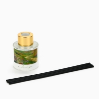 Диффузор ароматический палочки, ароматизатор для дома «Аромадиффузор: Природа», 3 шт., 50 мл. Диффузор ароматический палочки, ароматизатор для дома «Аромадиффузор: Природа», 3 шт., 50 мл.