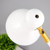 Настольная лампа "Джордж" 1х40Вт Е27 белый 20,5х14,5х51см RISALUX Настольная лампа "Джордж" 1х40Вт Е27 белый 20,5х14,5х51см RISALUX