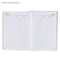 Ежедневник недатированный А5+, 136 листов Sidney Nebraska, обложка искусственная кожа, серебряный срез, ляссе, серебряный