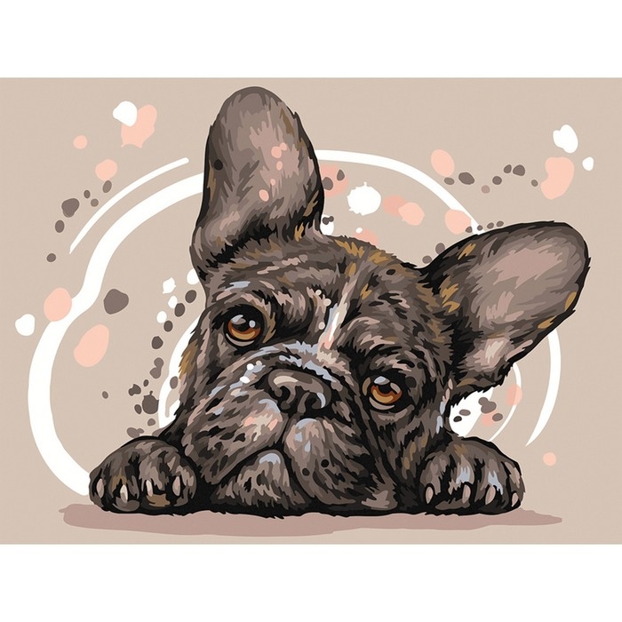 Картина по номерам на картоне &laquo;Французский бульдог&raquo;, 30 &times; 40 см, с акриловыми красками и кистями