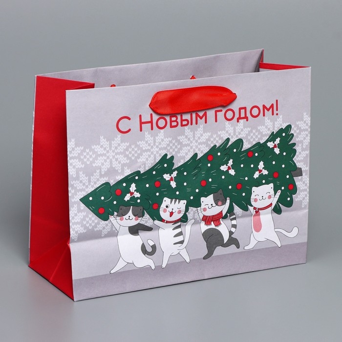 Пакет подарочный новогодний крафтовый горизонтальный &laquo;Спешу к тебе&raquo;, MS 23 х 18 х 10 см, Новый год