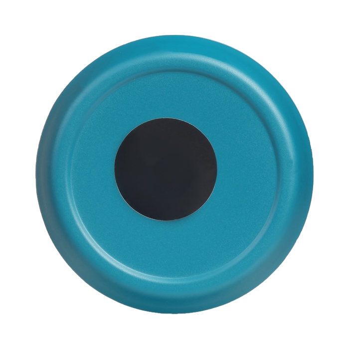 Термокружка, 350 мл, Мини, сохраняет тепло 8 ч, 6.5 х 16.5 см, синяя Термокружка, 350 мл, Мини, сохраняет тепло 8 ч, 6.5 х 16.5 см, синяя