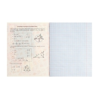 Тетрадь предметная Calligrata TOP "Журнал", 48 листов в клетку Геометрия, со справочным материалом, картонная обложка, глянцевая ламинация, блок офсет