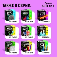 Набор для опытов &laquo;Волшебный бриллиант&raquo;