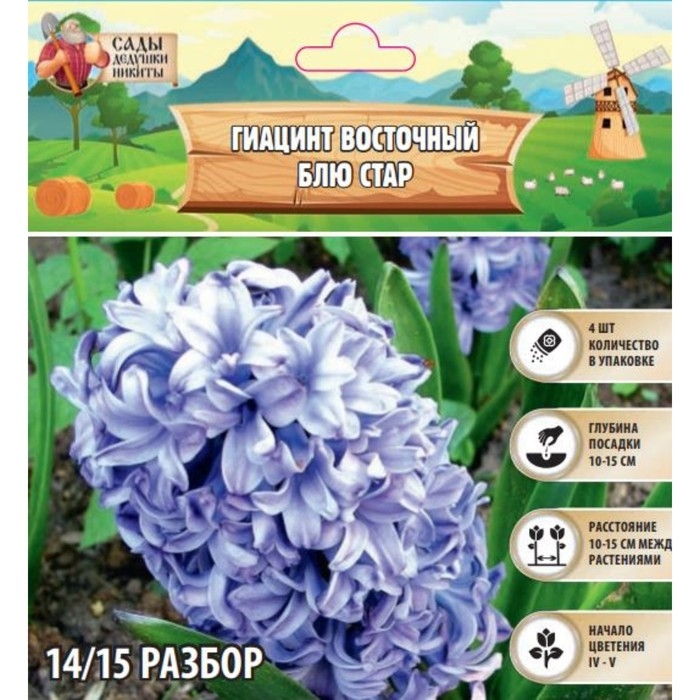 Гиацинт восточный Блю Стар, р-р 14/15, 4 шт, Осень 2024 Гиацинт восточный Блю Стар, р-р 14/15, 4 шт, Осень 2024