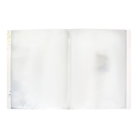 Папка формат А4, с 60 прозрачными файлами "Город", МИКС Папка формат А4, с 60 прозрачными файлами "Город", МИКС