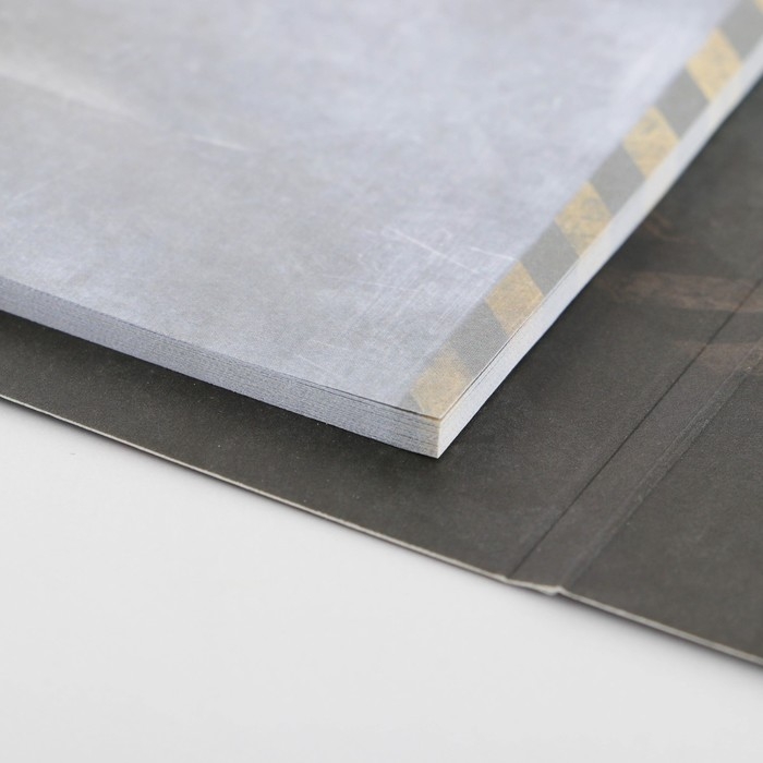 Подарочный набор &laquo;23 февраля&raquo;: ручка пластик с фигурным клипом и стикеры