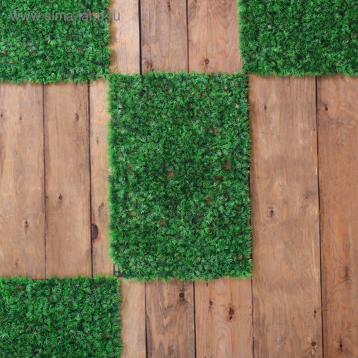 Декоративная панель, 60 &times; 40 см, &laquo;Аспарагус&raquo;, Greengo