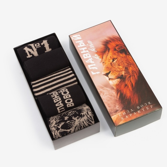 Набор мужских носков KAFTAN Набор мужских носков KAFTAN "Главный" 5 пар, размер 41-44 (27-29 см)