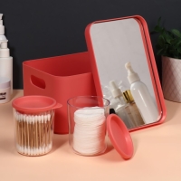 Набор органайзеров для хранения косметических принадлежностей &laquo;Eva&raquo;, 22,8 &times; 15,9 &times; 13,8 см, с зеркалом, цвет розовый