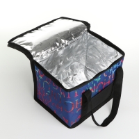 Термосумка на молнии, 13 л, цвет синий Термосумка на молнии, 13 л, цвет синий