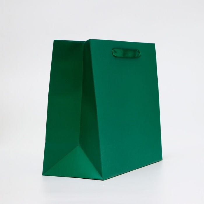 Пакет ламинированный горизонтальный «Изумрудный», ML 27 × 23 × 11.5 см Пакет ламинированный горизонтальный «Изумрудный», ML 27 × 23 × 11.5 см