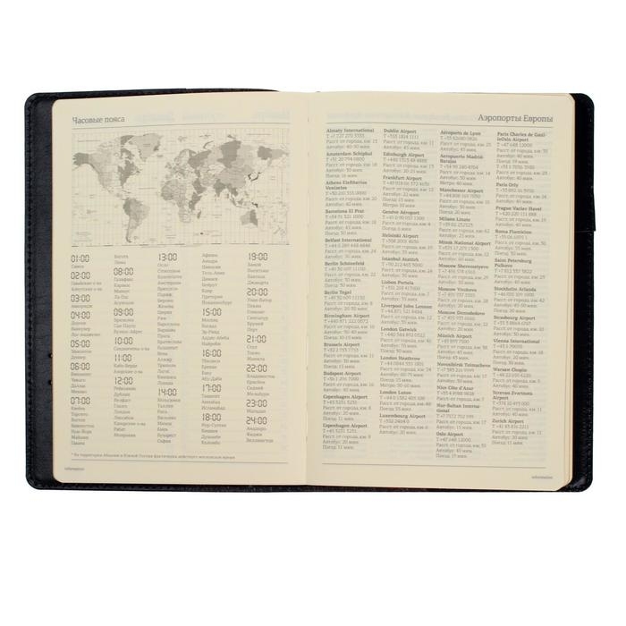 Ежедневник полудатированный А5, 208 листов Profy, рециклированная кожа, сменный блок, золотой срез, чёрный